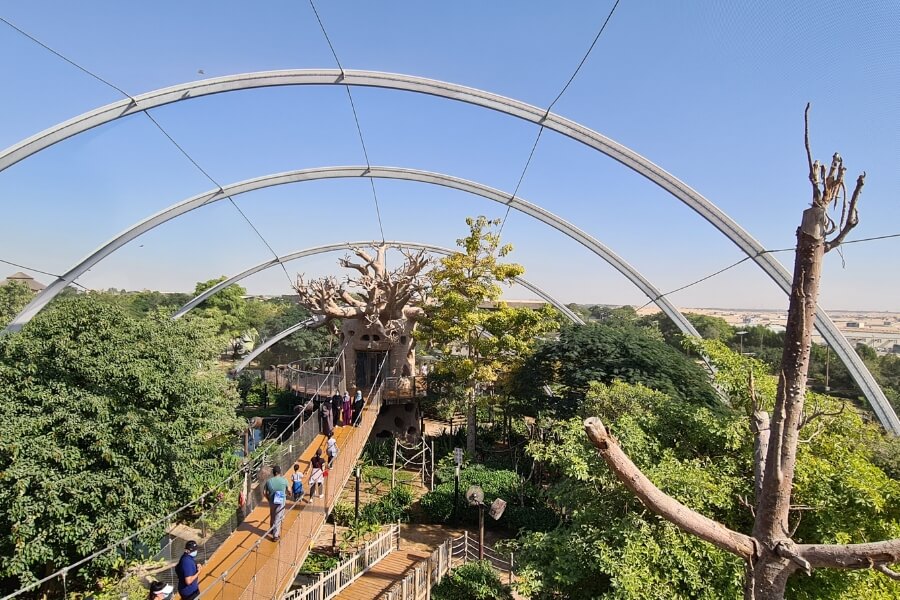 Volière du parc safari de Dubaï