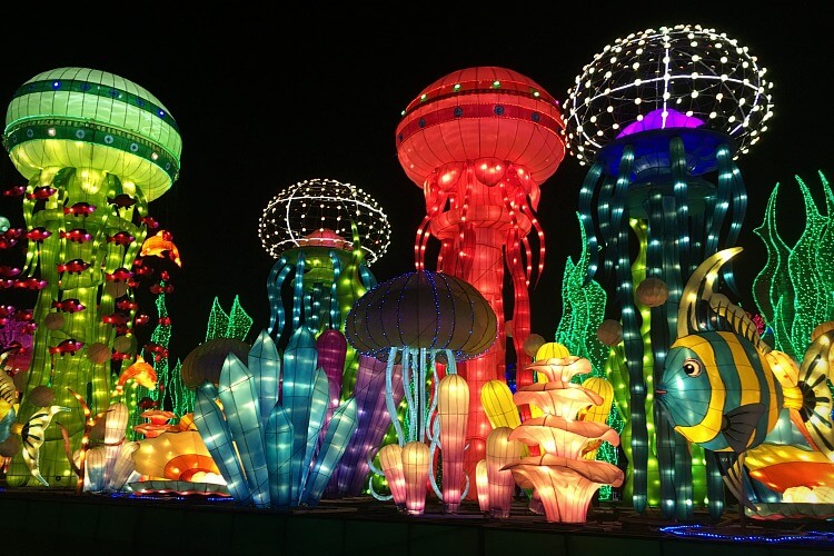 Scène sous-marine nocturne au Dubai Garden glow